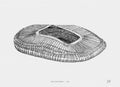 Fine Art Print Estadio Monterrey