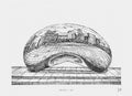 Fine Art Print The Bean